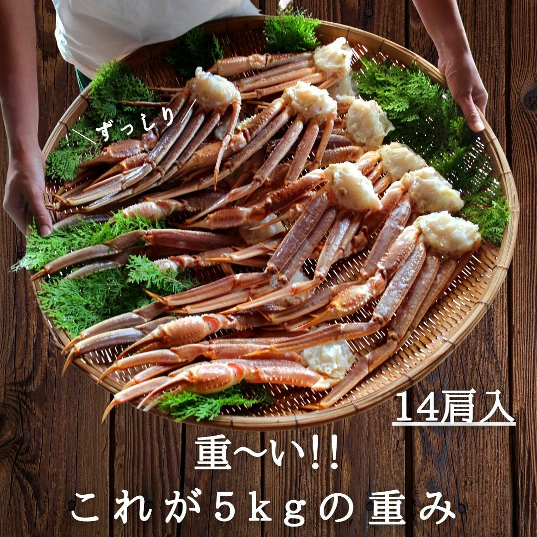 レオっ子大好き様 5kg 本ズワイガニ 000000000040-03.jpg?size=l&w=
