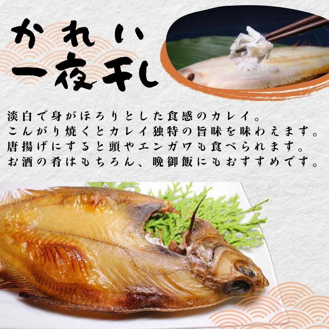 浜干しセット 送料無料 干物 ひもの アジ カマス カレイ うるめ丸干し