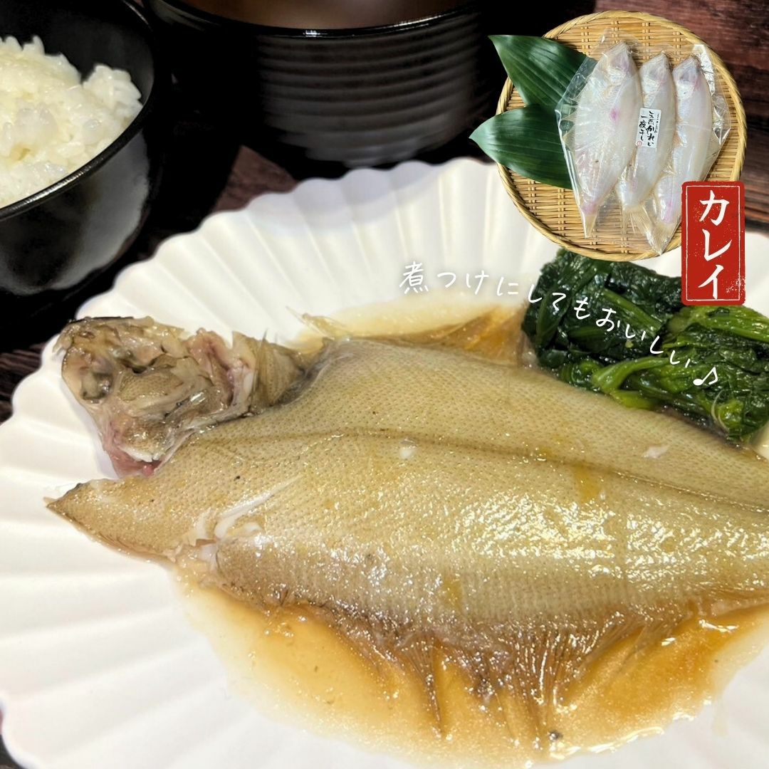 魚干し機(カレイ、コマイ、マス、シャケ等で使用) 8501482-01.jpg