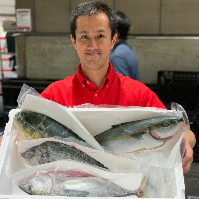 大阪市中央卸売市場 直送【鮮魚セット】 日替わり 送料無料 4～5種