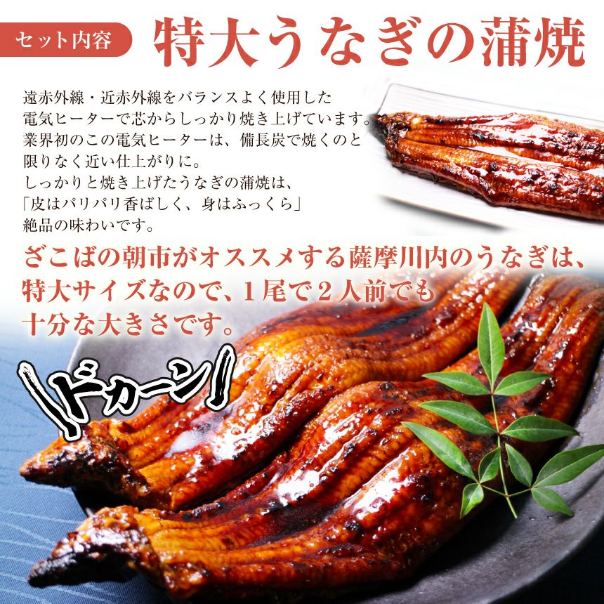母の日 ギフト 特大うなぎ蒲焼(185g～215g）x2本 送料無料 国産 九州