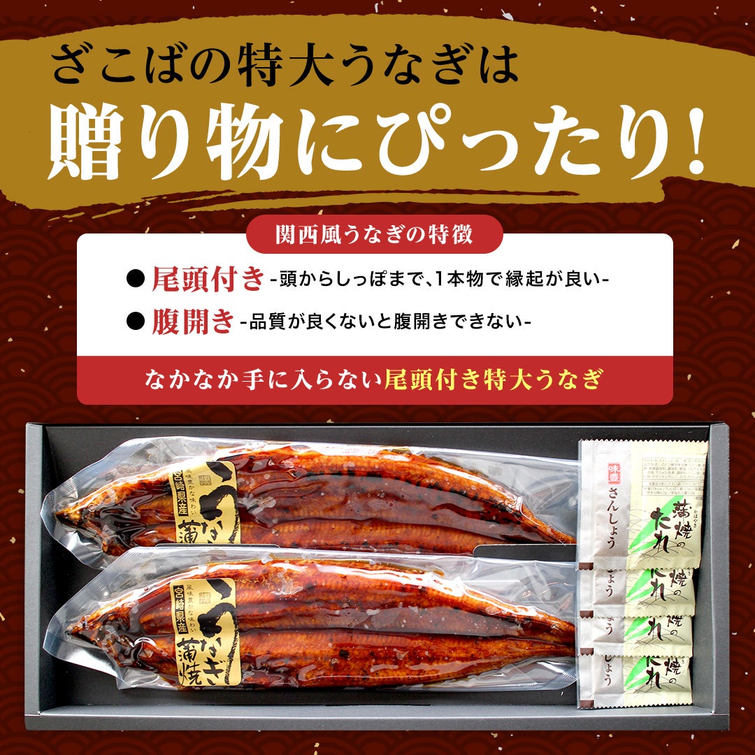 お中元 ギフト 特大うなぎ蒲焼(約200g)×3本 送料無料 国産 九州産 最