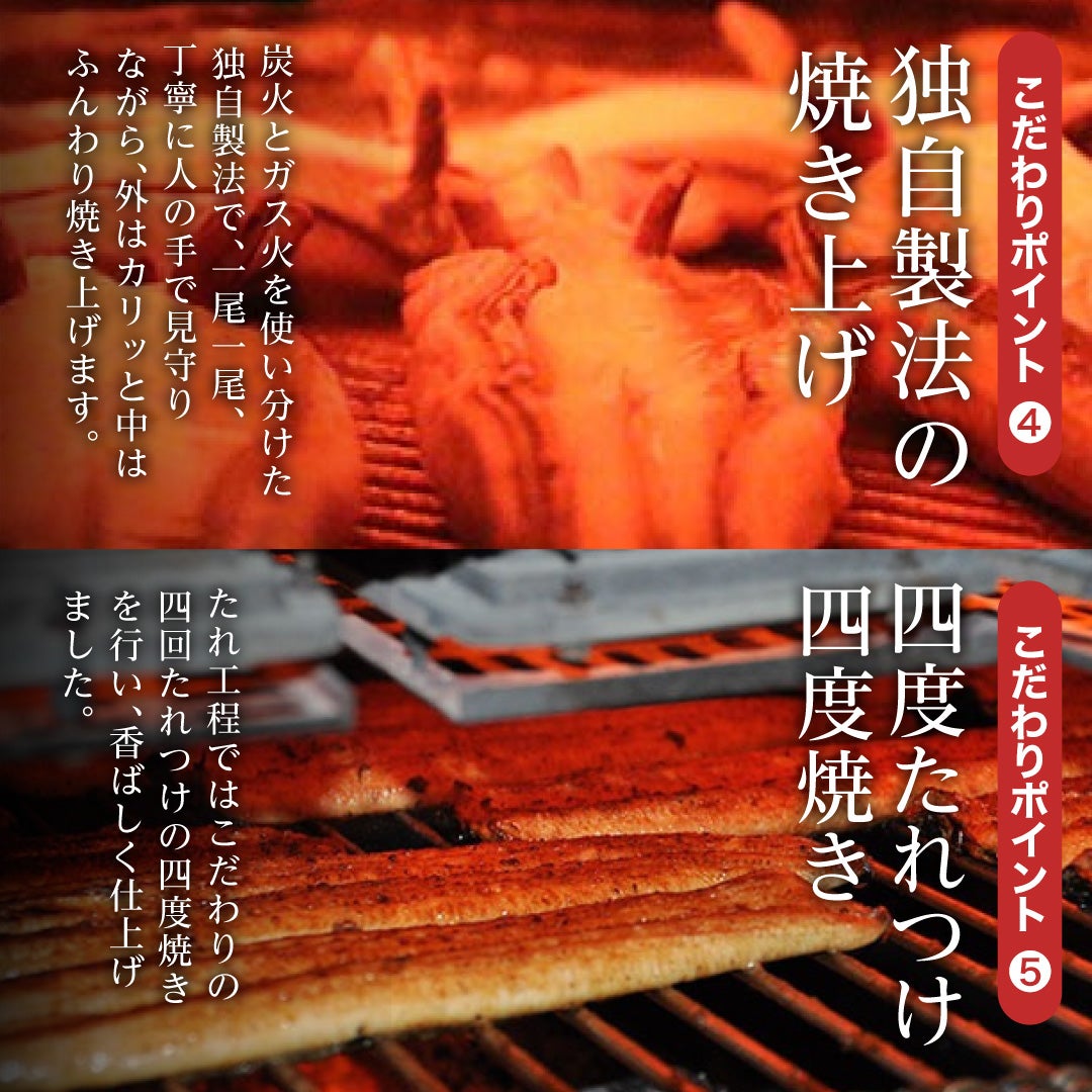敬老の日ギフト 特大うなぎ蒲焼(約200g)×10本 送料無料 国産 九州産 最