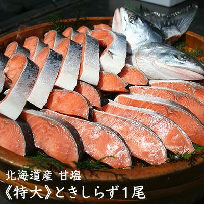 2024年新物 北海道産【特大】時知らず鮭 1尾 約2.5kg さけ サケ 冷凍
