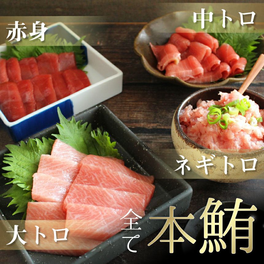 中トロページ① 本マグロ 中トロ(500g) | まぐろの村井オンラインショップ