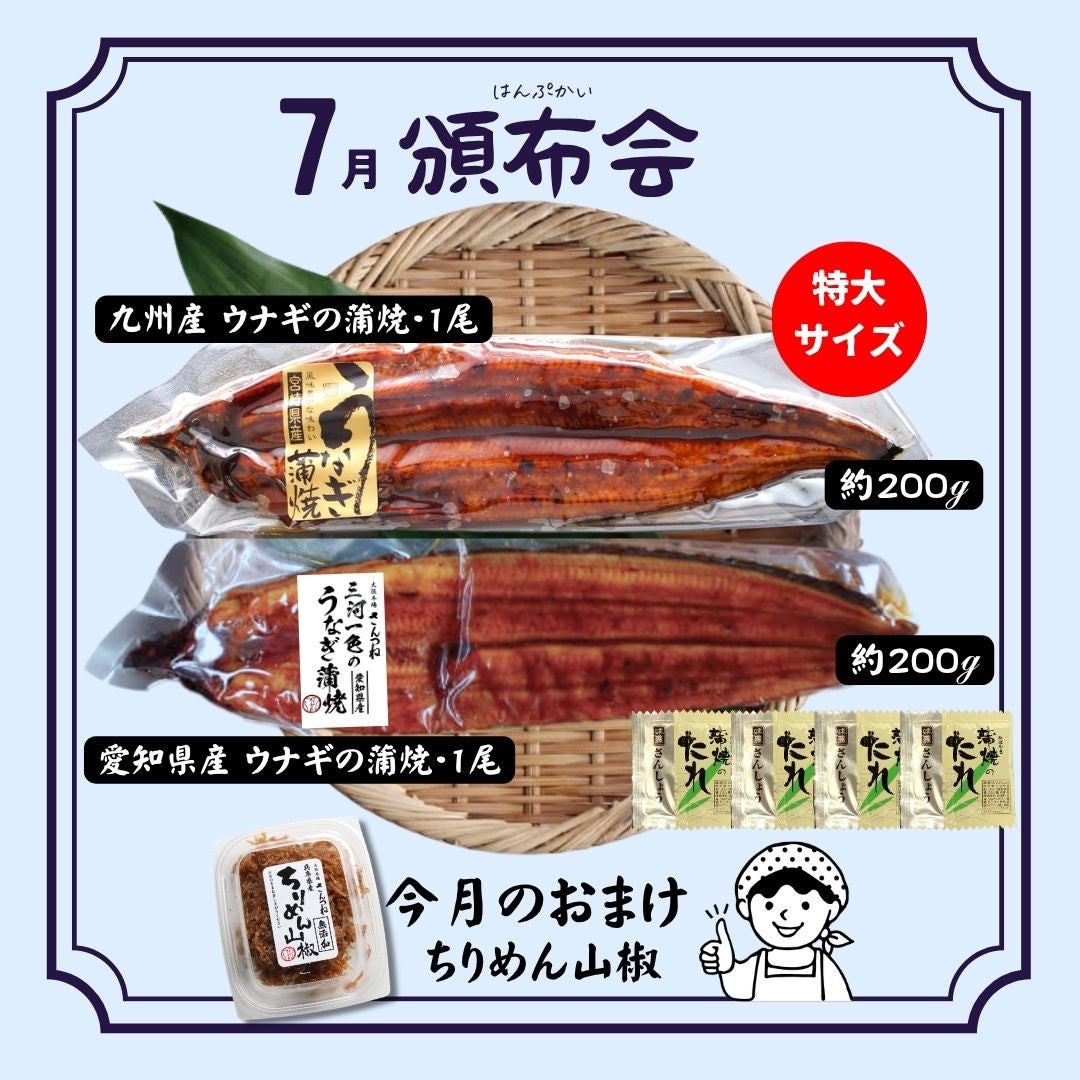 頒布会】ZAKOBA CLUB 《きわみコース》 送料無料 魚のサブスク 定期便