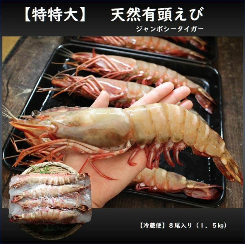 特特大天然有頭エビ 8尾 1.5kg 送料無料 えび 海老 スーパービッグ