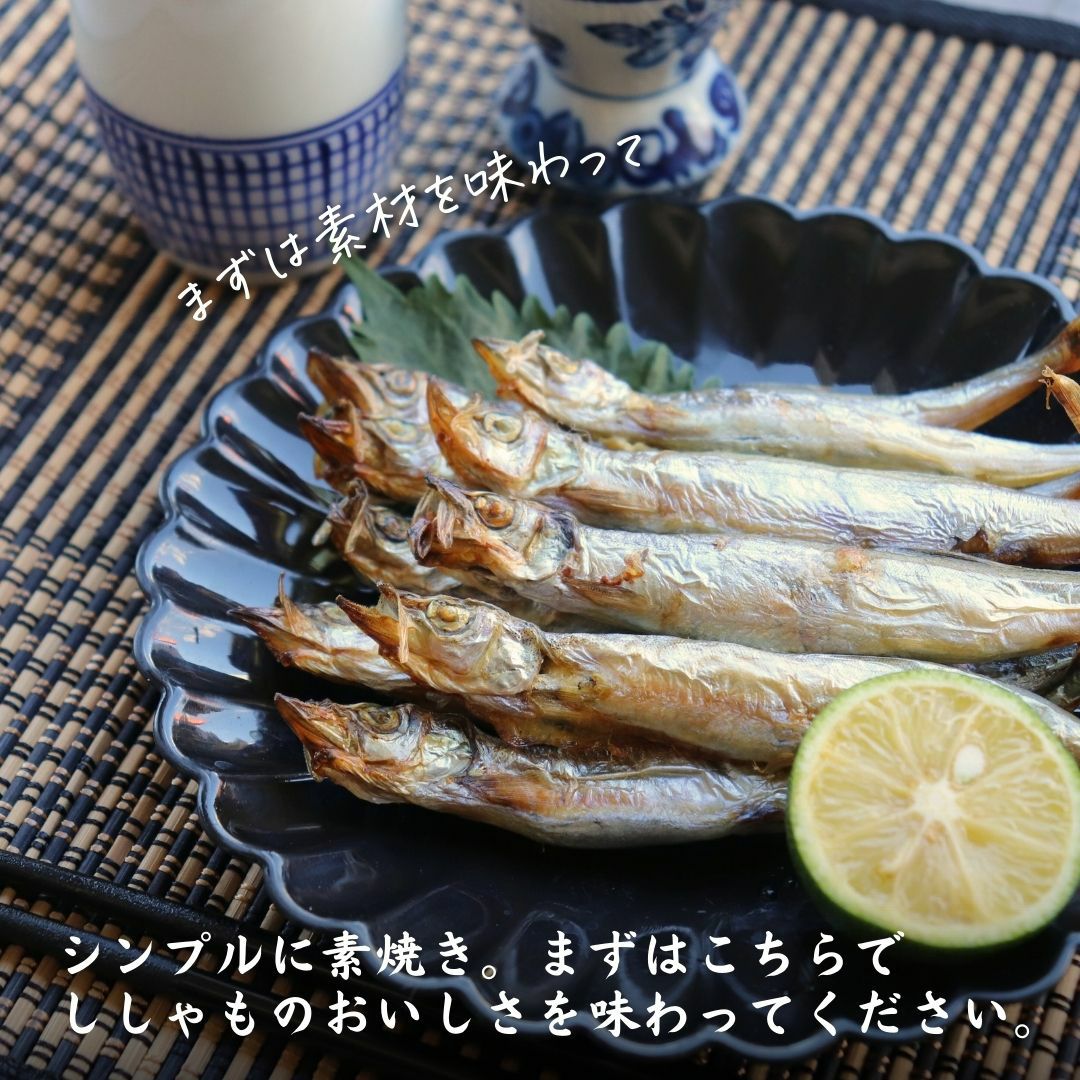 訳あり 子持ちししゃも 700g 冷凍 シシャモ 樺太ししゃも | ざこばの