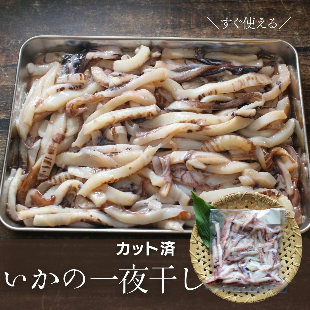 国内産 お徳用 いか一夜干し500g イカ 冷凍 カット済 | ざこばの朝市