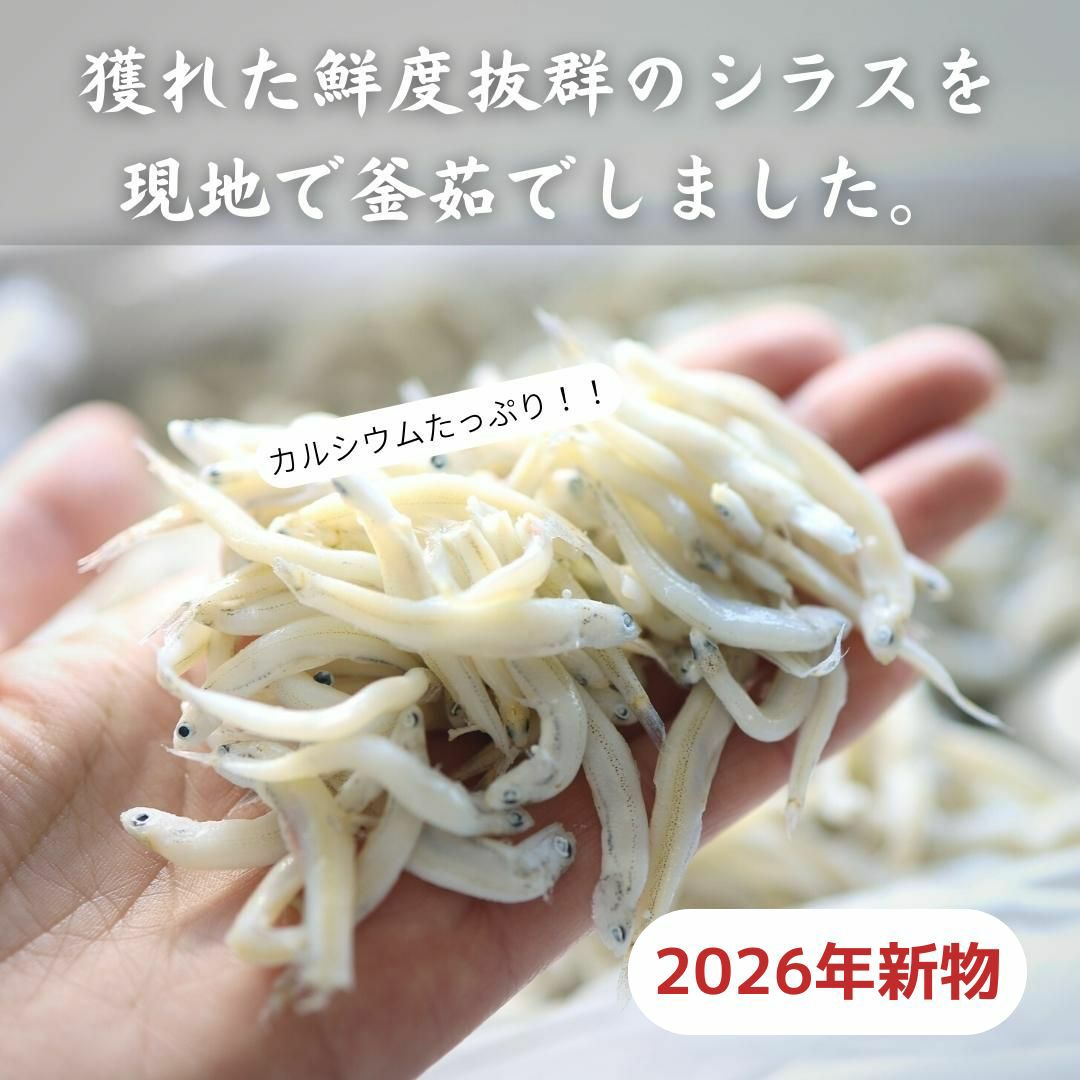 訳あり しらす 1kg 国内産 釜揚げ 釜あげ シラス お買得 最安値に挑戦