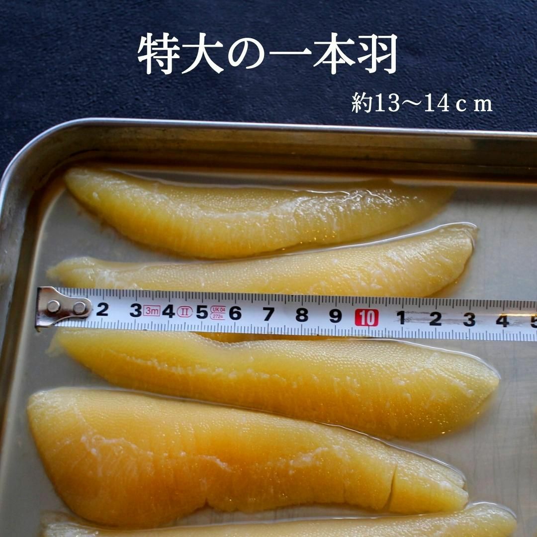 000000000638-05.jpg?size=l&w=