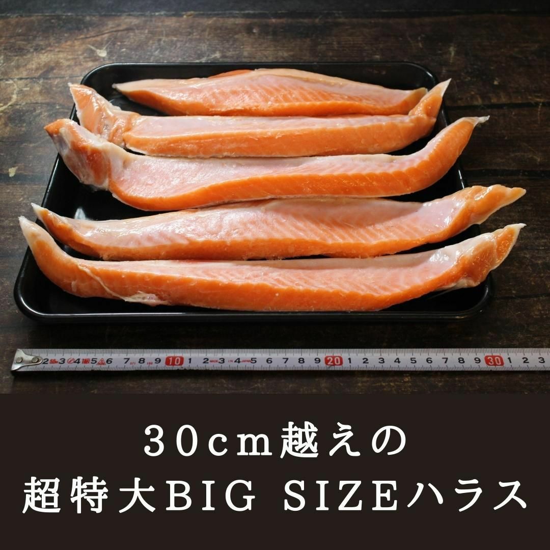 訳あり 銀鮭 ハラス 特々大サイズ 甘塩 約1kg 送料無料 塩鮭 新巻鮭