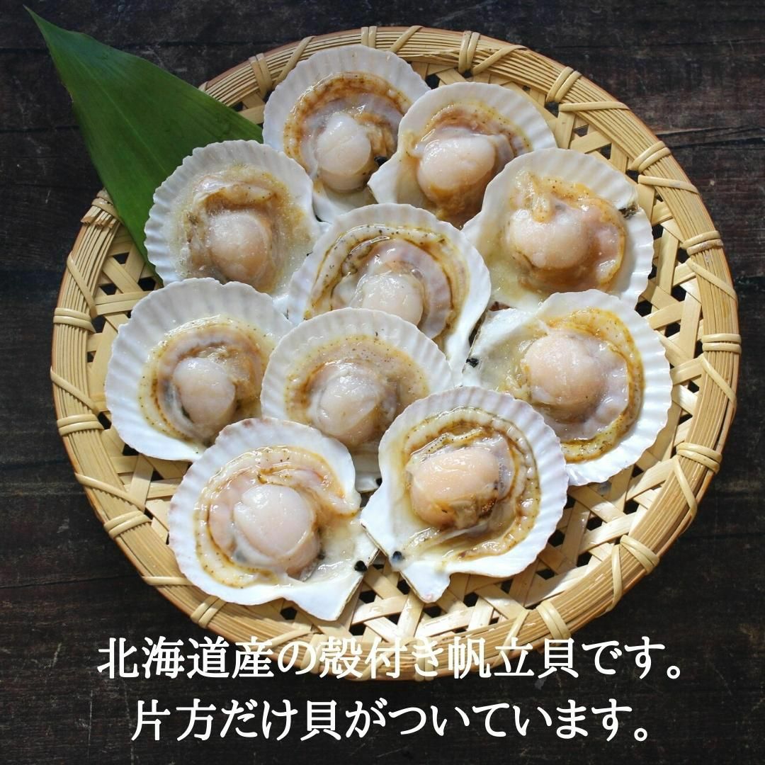 北海道産 殻付きホタテ10枚 送料無料 加熱用 国産 片貝 ほたて 海鮮
