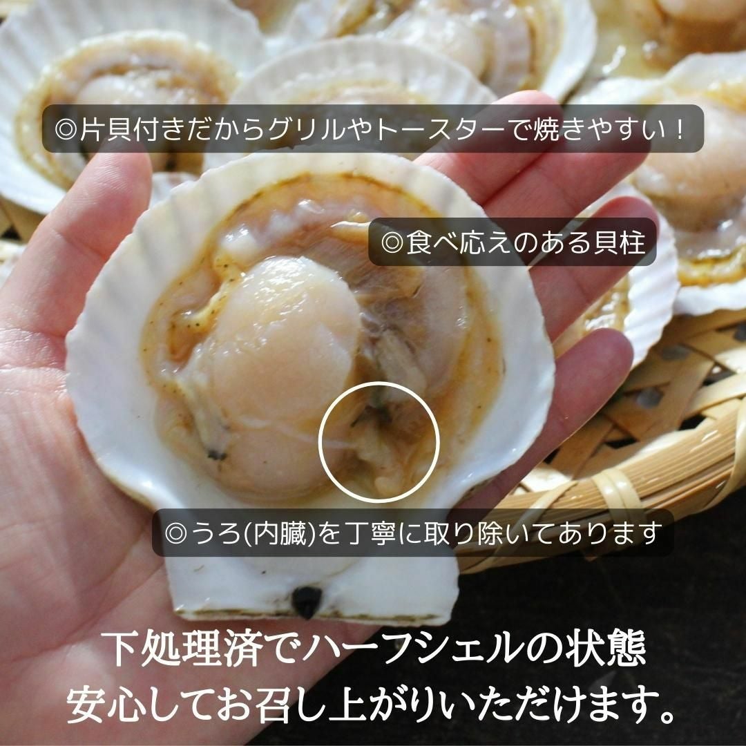 北海道産 殻付きホタテ10枚 送料無料 加熱用 国産 片貝 ほたて 海鮮
