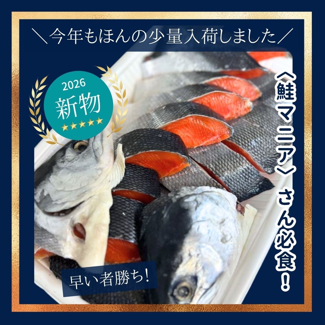 北海道産 沖獲り天然紅鮭 一尾（約1.8kg） 新物 本チャン 塩鮭 新巻鮭