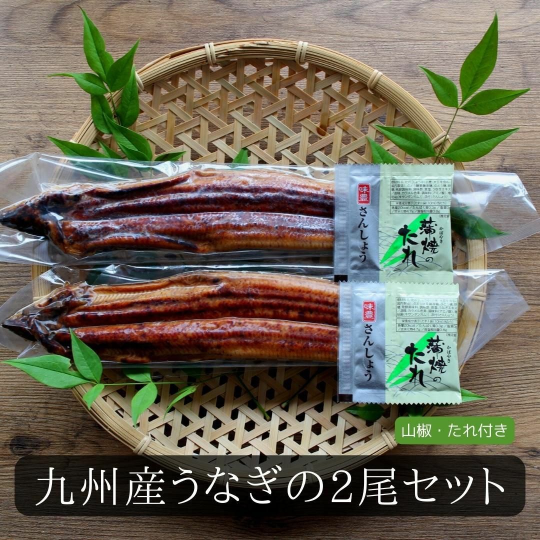 訳あり】国産うなぎ蒲焼 2尾(約125g×2）【送料無料】 うなぎ 鰻