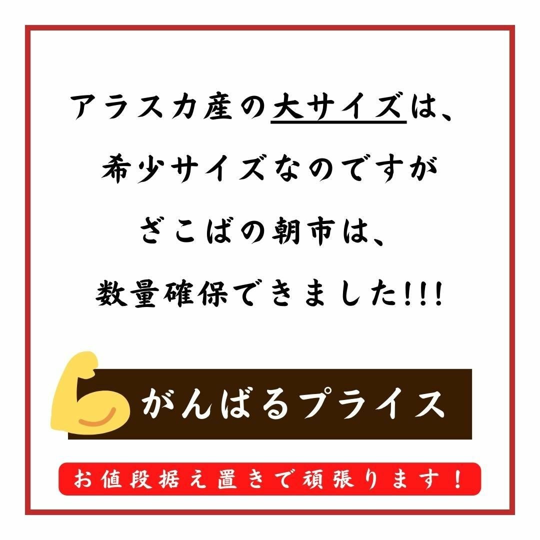 天然 塩数の子 アラスカ産 大サイズ 500g 送料無料 1本物 本ちゃん