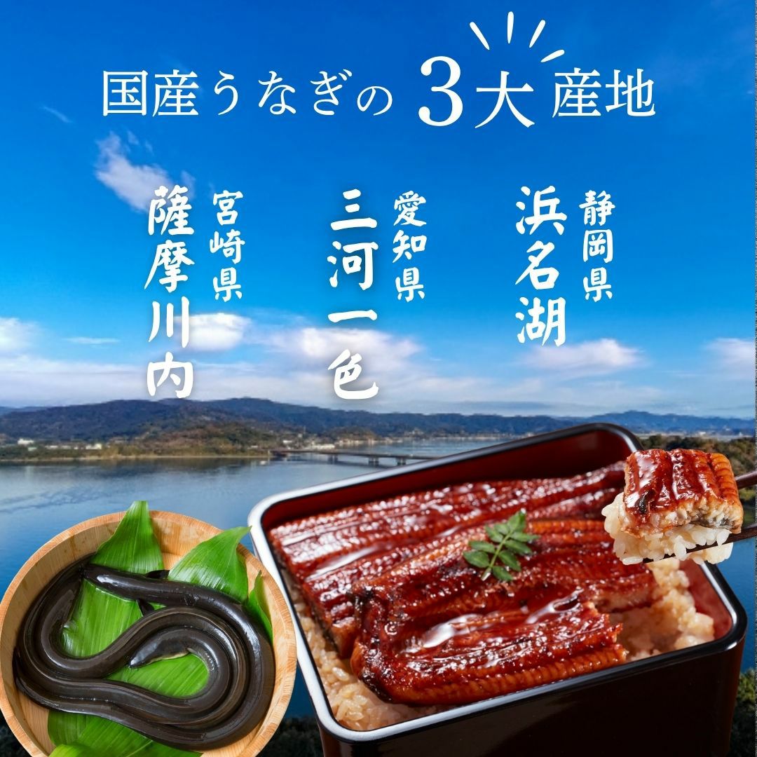 うなぎの蒲焼三大産地食べ比べ 3尾入 宮崎県 愛知県 三河一色 静岡県