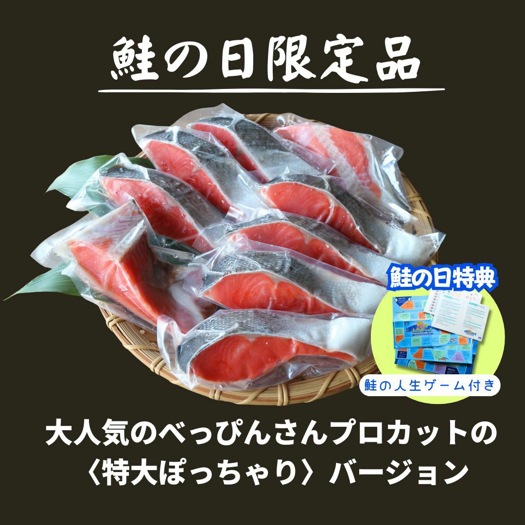 天然紅鮭「べっぴんさん」ぽっちゃり プロカット約1.1kg 【送料無料