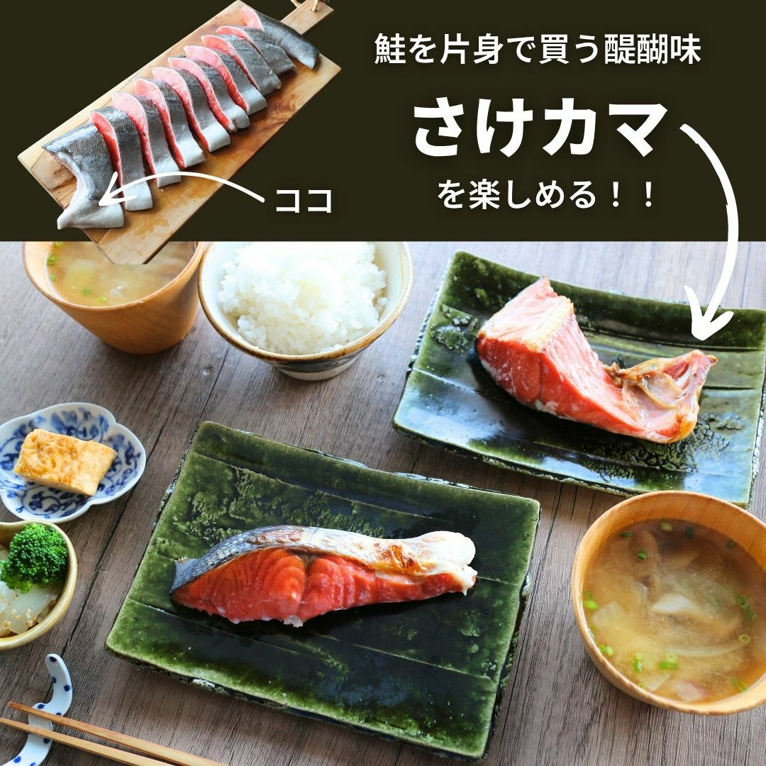天然紅鮭「べっぴんさん」ぽっちゃり プロカット約1.1kg 【送料無料