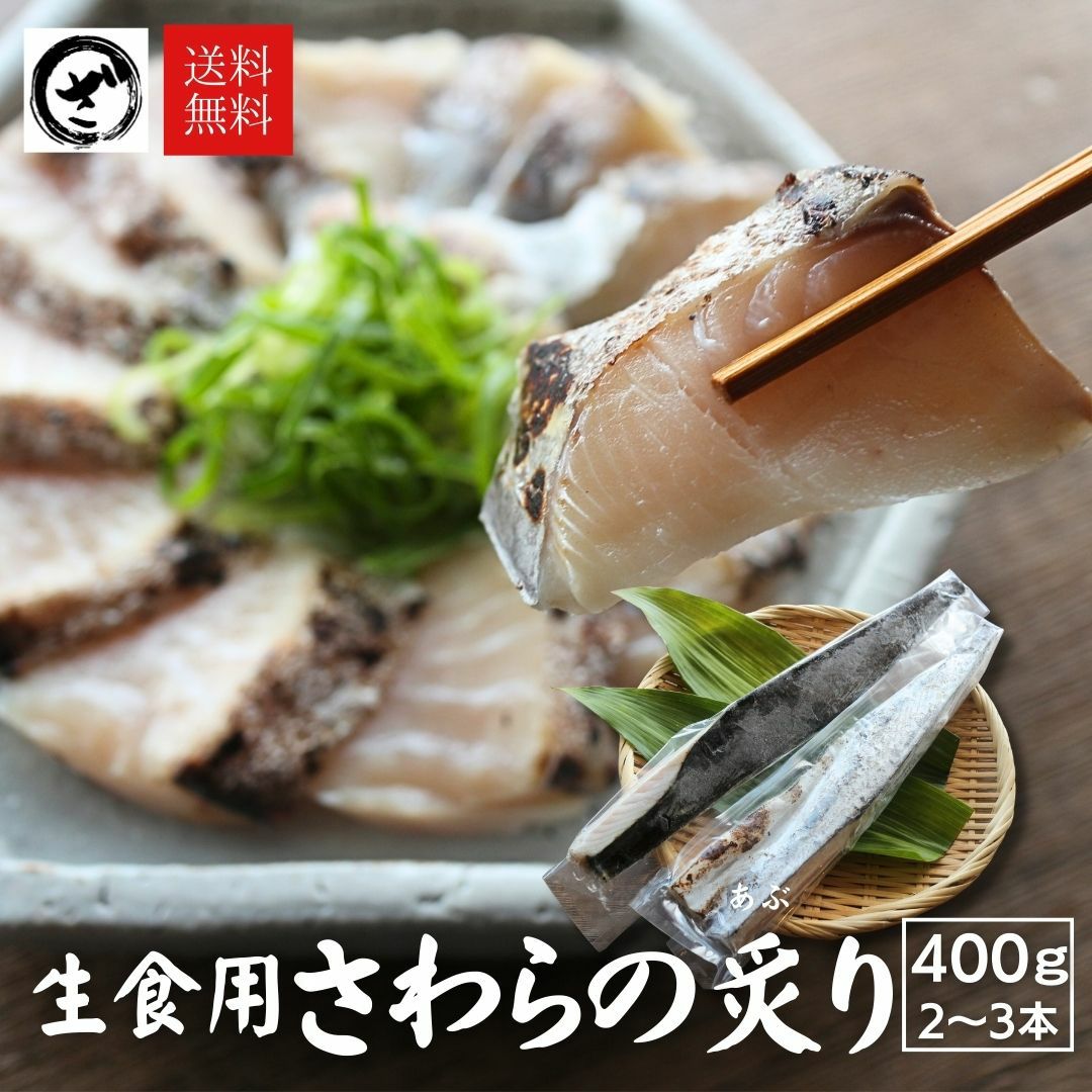 鰆 生食用 寒さわらの炙り 約400g（2本～3本） 送料無料 鰆 サワラ あぶり