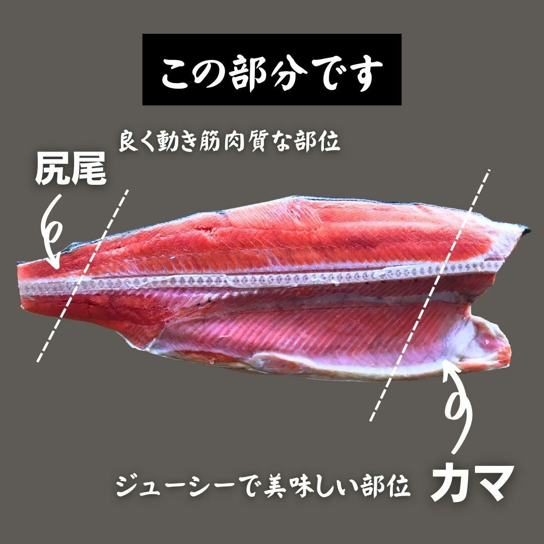 銀乃すけ 宮城県産銀鮭カマ 切り落とし 1kg いつもの鮭 さけ サケ
