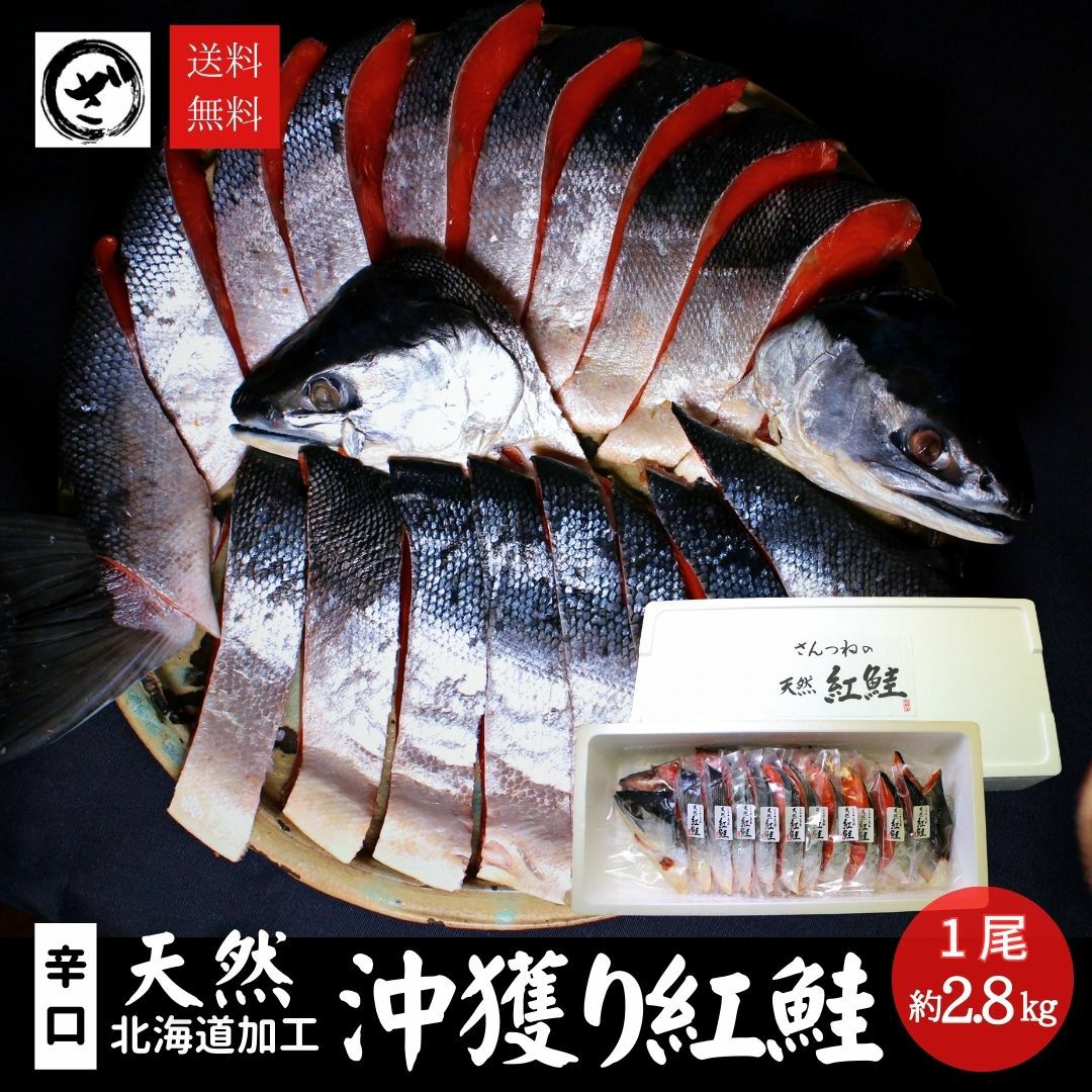 食品 北海道標津産 塩鮭 70センチ 2.8キロ 新物