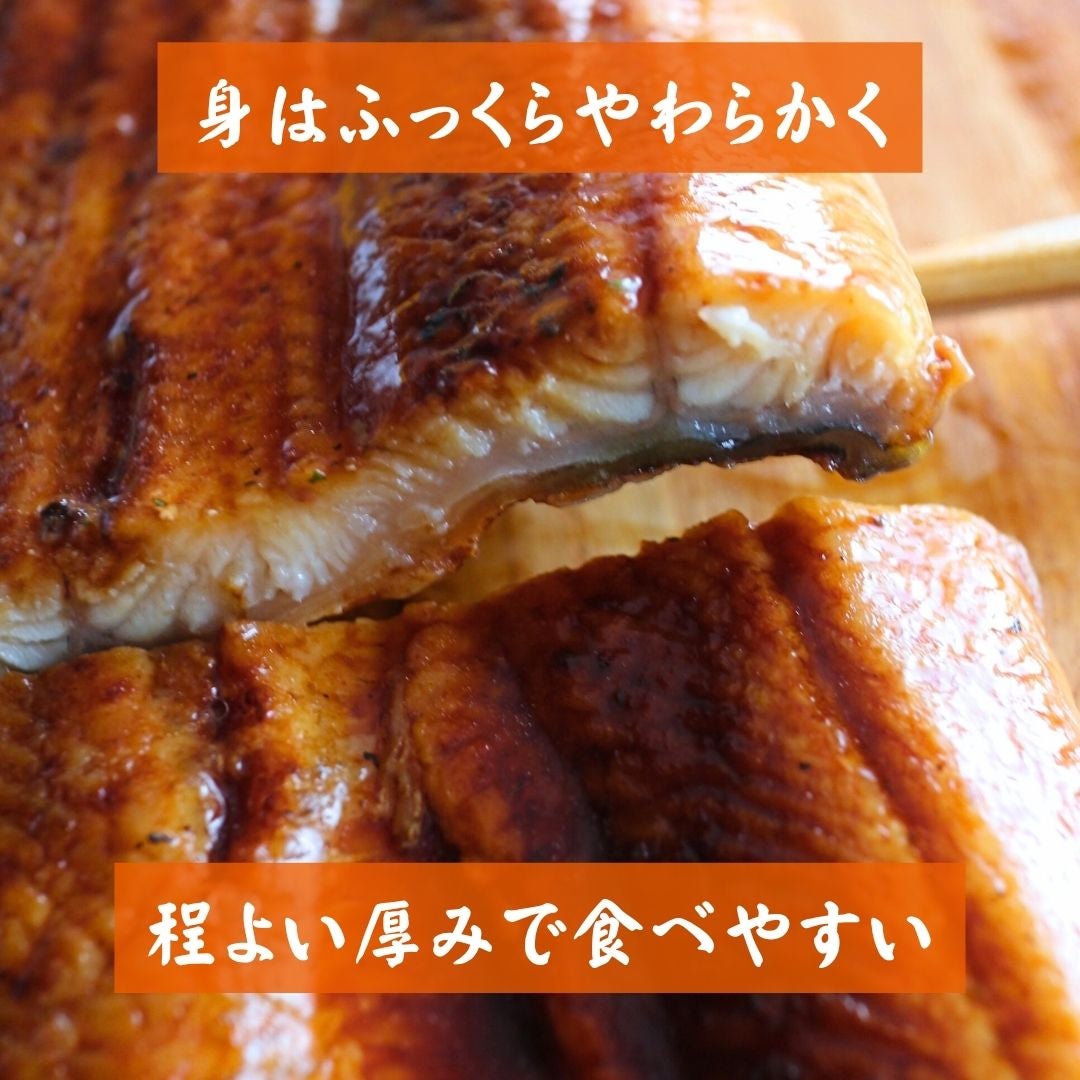 訳あり 愛知県三河産うなぎ蒲焼 2尾 送料無料 無頭 うなぎ 鰻 ウナギ