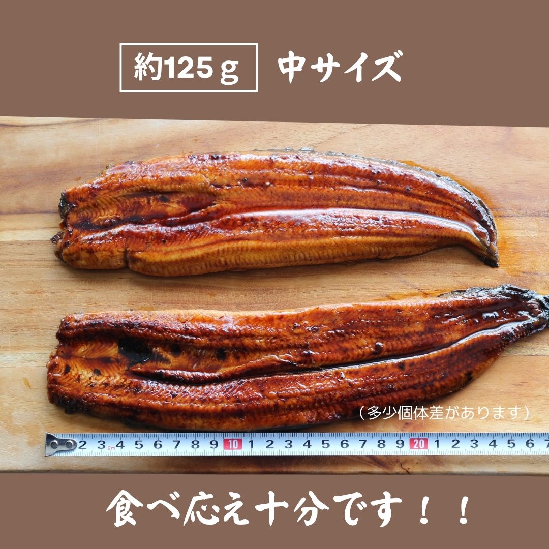 訳あり 愛知県三河産うなぎ蒲焼 2尾 送料無料 無頭 うなぎ 鰻 ウナギ