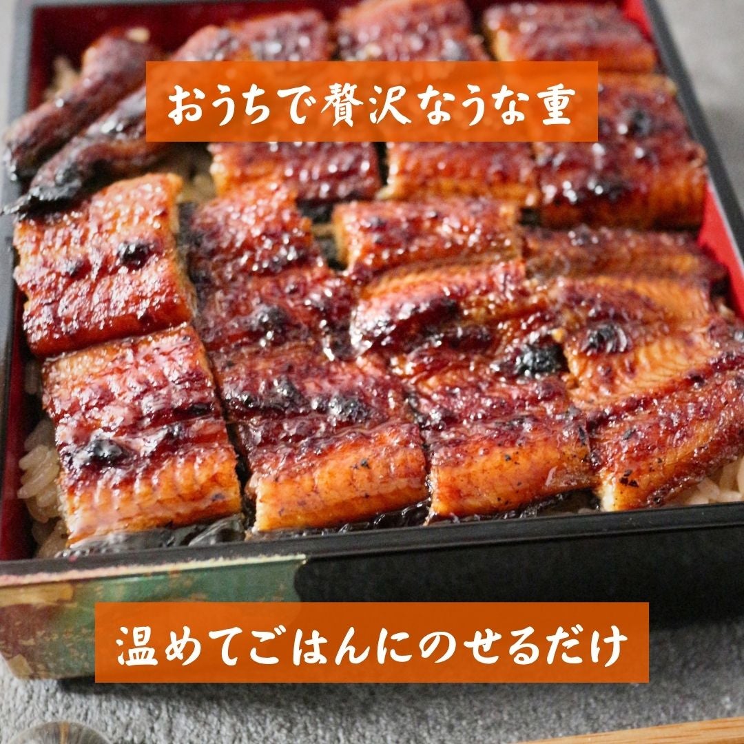 訳あり 愛知県三河産うなぎ蒲焼 2尾 送料無料 無頭 うなぎ 鰻 ウナギ