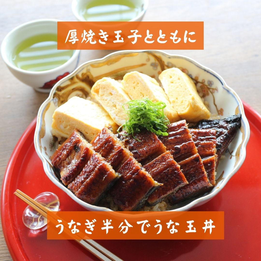 訳あり 愛知県三河産うなぎ蒲焼 2尾 送料無料 無頭 うなぎ 鰻 ウナギ