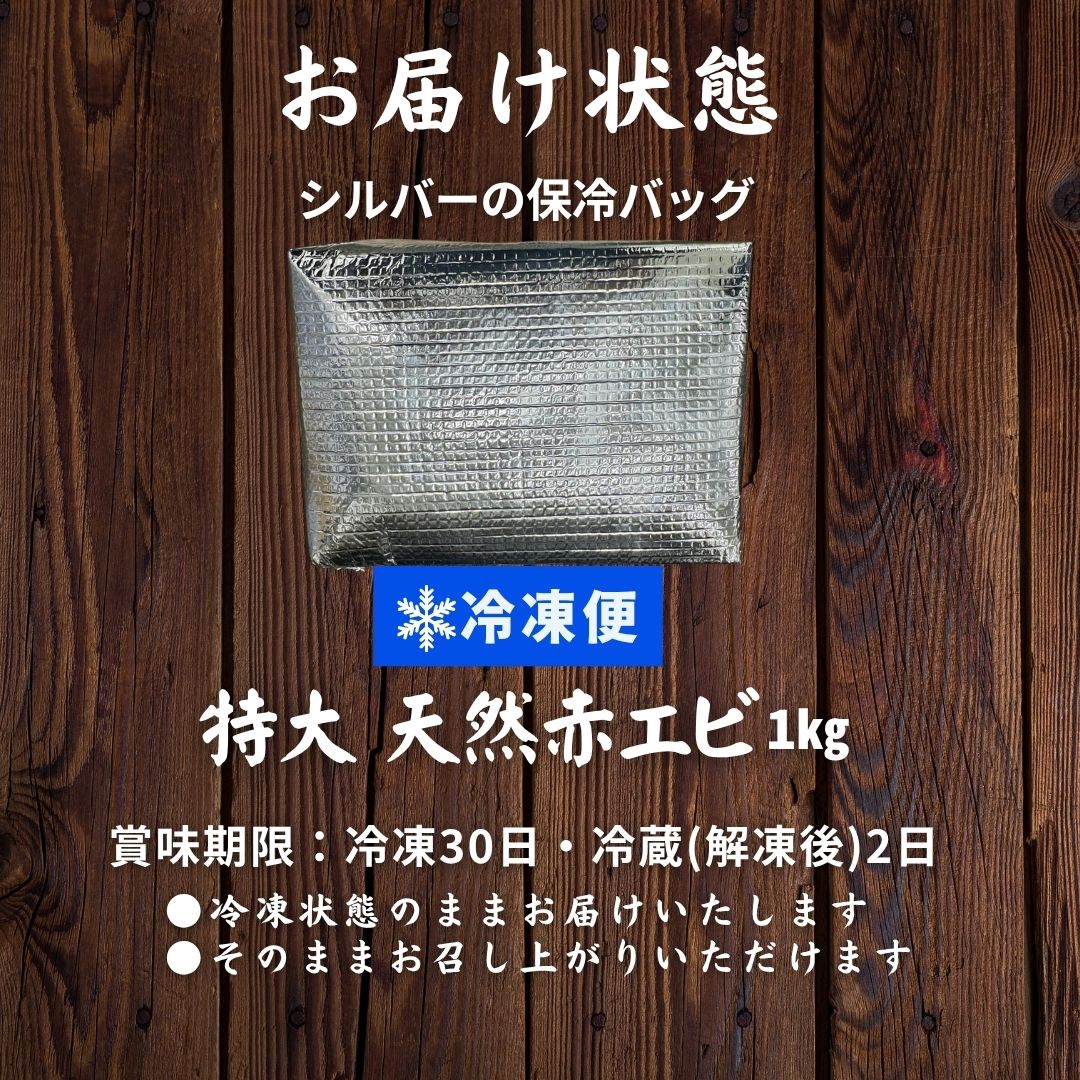 特大 天然赤エビ 1kg （約17尾） 送料無料 有頭 えび 赤海老 生食可